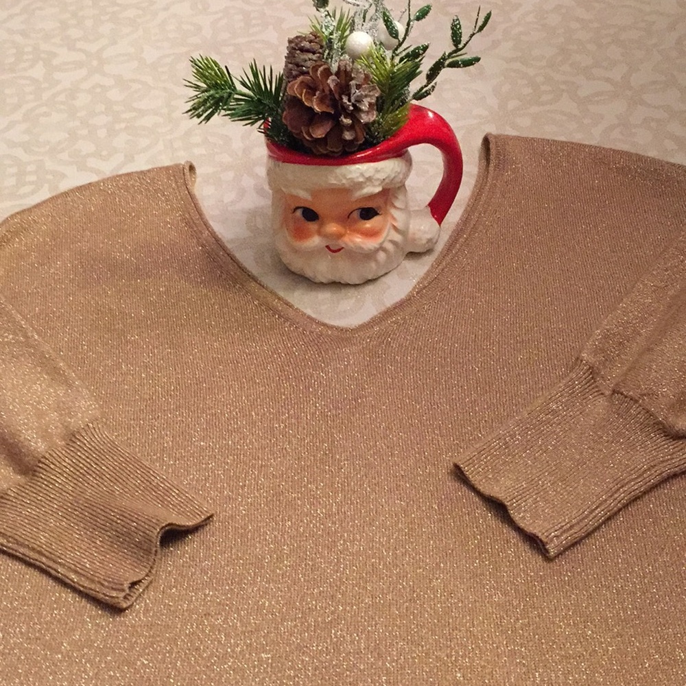 Express sweater